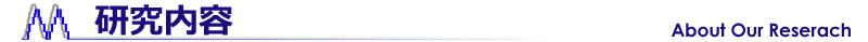研究内容